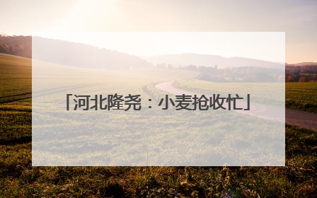 河北隆尧：小麦抢收忙