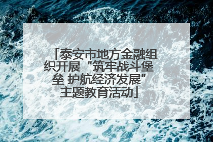 泰安市地方金融组织开展“筑牢战斗堡垒 护航经济发展”主题教育活动