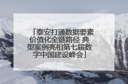 泰安打通数据要素价值化全链路径 典型案例亮相第七届数字中国建设峰会