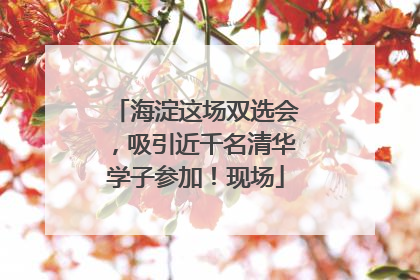 海淀这场双选会，吸引近千名清华学子参加！现场