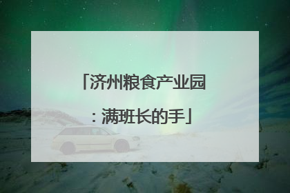 济州粮食产业园：满班长的手