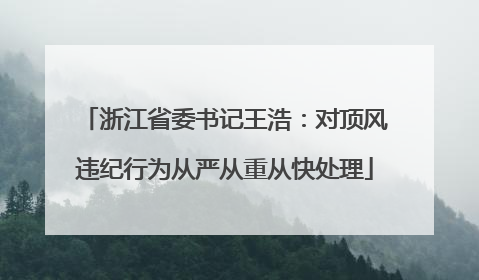 浙江省委书记王浩：对顶风违纪行为从严从重从快处理