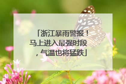 浙江暴雨警报！马上进入最强时段，气温也将猛跌