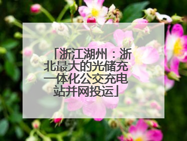 浙江湖州：浙北最大的光储充一体化公交充电站并网投运