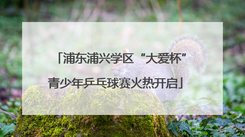 浦东浦兴学区“大爱杯”青少年乒乓球赛火热开启