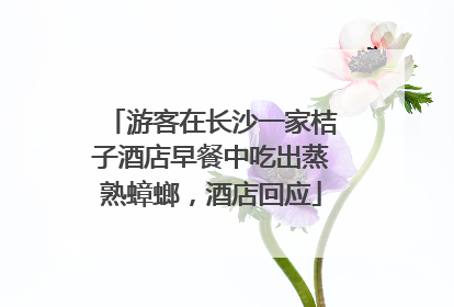 游客在长沙一家桔子酒店早餐中吃出蒸熟蟑螂，酒店回应