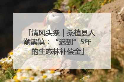 清风头条｜桑植县人潮溪镇：“迟到”5年的生态林补偿金