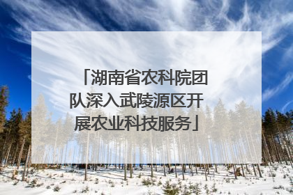 湖南省农科院团队深入武陵源区开展农业科技服务
