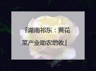 湖南祁东：黄花菜产业助农增收