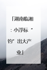 湖南临湘：小浮标“钓”出大产业
