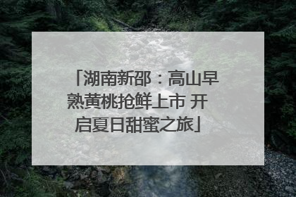 湖南新邵：高山早熟黄桃抢鲜上市 开启夏日甜蜜之旅