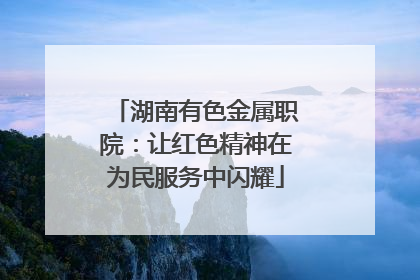 湖南有色金属职院：让红色精神在为民服务中闪耀