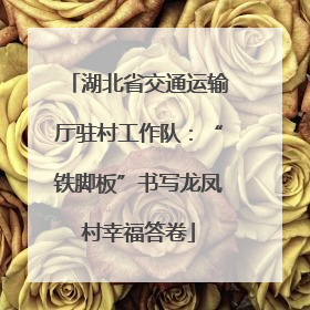 湖北省交通运输厅驻村工作队：“铁脚板”书写龙凤村幸福答卷