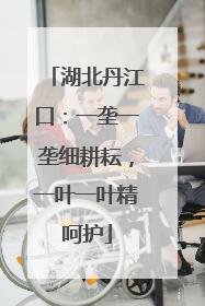 湖北丹江口：一垄一垄细耕耘，一叶一叶精呵护