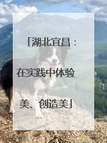 湖北宜昌：在实践中体验美、创造美