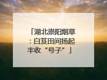 湖北崇阳烟草：白芨田间扬起丰收“号子”