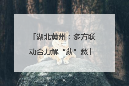 湖北黄州：多方联动合力解“薪”愁