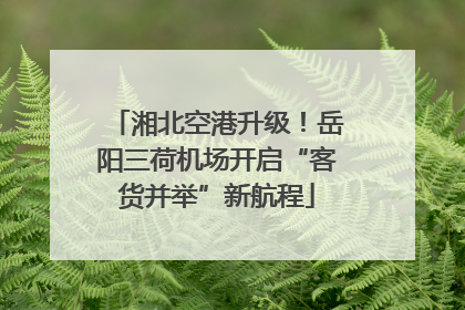 湘北空港升级！岳阳三荷机场开启“客货并举”新航程