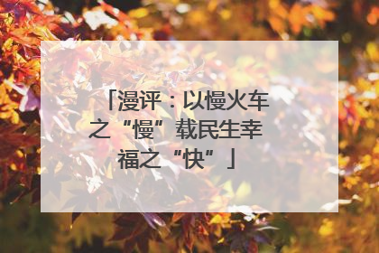 漫评：以慢火车之“慢”载民生幸福之“快”