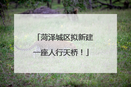 菏泽城区拟新建一座人行天桥！