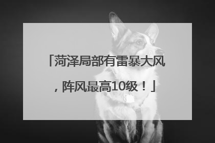 菏泽局部有雷暴大风，阵风最高10级！