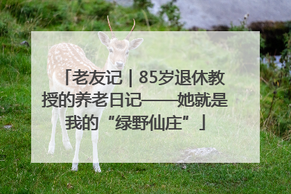 老友记｜85岁退休教授的养老日记——她就是我的“绿野仙庄”