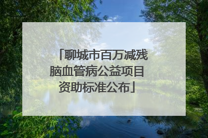 聊城市百万减残脑血管病公益项目资助标准公布