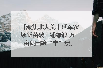 聚焦北大荒丨延军农场新苗破土铺绿浪 万亩良田绘“丰”景