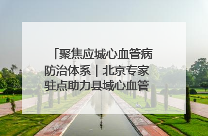 聚焦应城心血管病防治体系｜北京专家驻点助力县域心血管诊疗技术突破