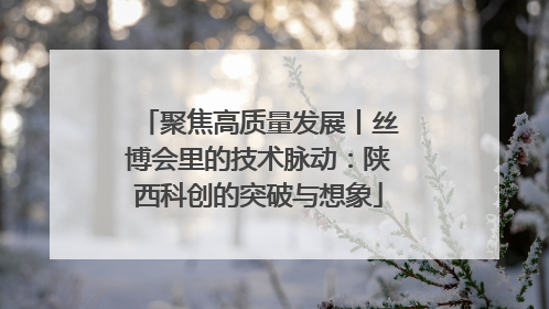 聚焦高质量发展丨丝博会里的技术脉动：陕西科创的突破与想象
