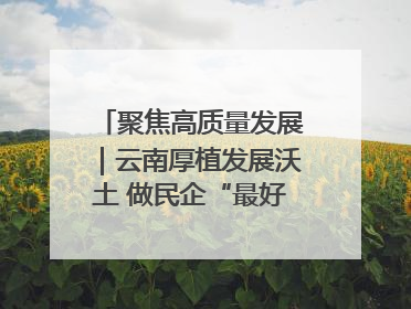 聚焦高质量发展｜云南厚植发展沃土 做民企“最好合伙人”