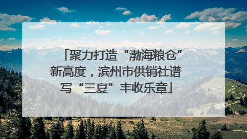 聚力打造“渤海粮仓”新高度，滨州市供销社谱写“三夏”丰收乐章