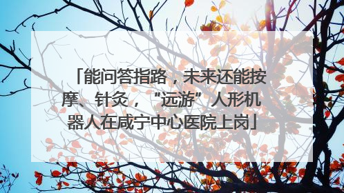 能问答指路，未来还能按摩、针灸，“远游”人形机器人在咸宁中心医院上岗