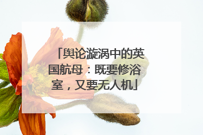舆论漩涡中的英国航母：既要修浴室，又要无人机
