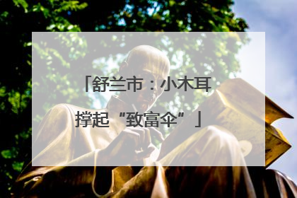 舒兰市：小木耳撑起“致富伞”