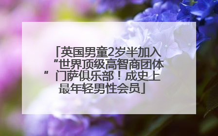 英国男童2岁半加入“世界顶级高智商团体”门萨俱乐部！成史上最年轻男性会员