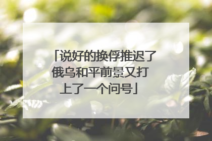 说好的换俘推迟了 俄乌和平前景又打上了一个问号