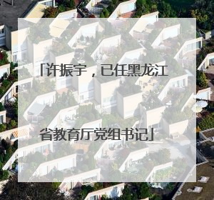 许振宇，已任黑龙江省教育厅党组书记