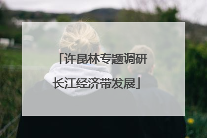 许昆林专题调研长江经济带发展