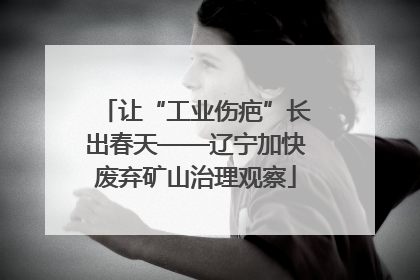 让“工业伤疤”长出春天——辽宁加快废弃矿山治理观察