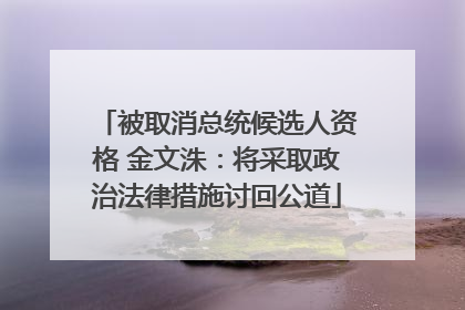 被取消总统候选人资格 金文洙：将采取政治法律措施讨回公道