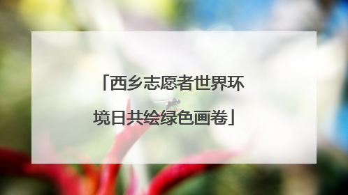 西乡志愿者世界环境日共绘绿色画卷