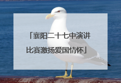 襄阳二十七中演讲比赛激扬爱国情怀