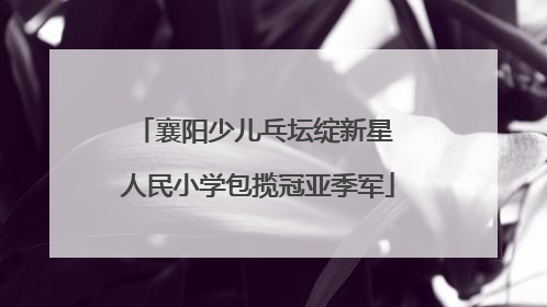 襄阳少儿乓坛绽新星 人民小学包揽冠亚季军