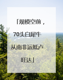 规模空前，70头白犀牛从南非运抵卢旺达