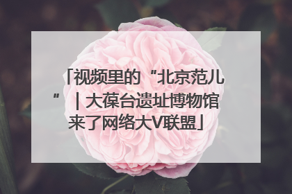 视频里的“北京范儿”｜大葆台遗址博物馆来了网络大V联盟