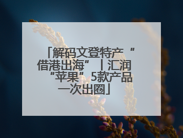 解码文登特产“借港出海”丨汇润“苹果”5款产品一次出圈