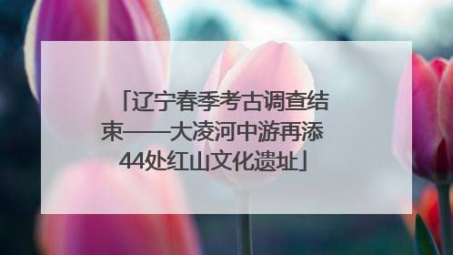 辽宁春季考古调查结束——大凌河中游再添44处红山文化遗址