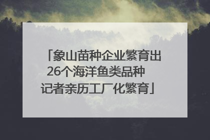 象山苗种企业繁育出26个海洋鱼类品种 记者亲历工厂化繁育