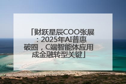 财跃星辰COO张展：2025年AI普惠破圈，C端智能体应用成金融转型关键